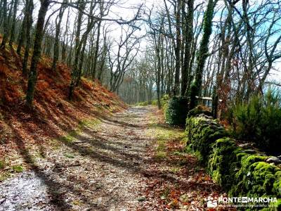 Sierra de Gata, Trevejo,Hoyos,Coria; monasterio de piedra viajes lagunas de ruidera la pinilla